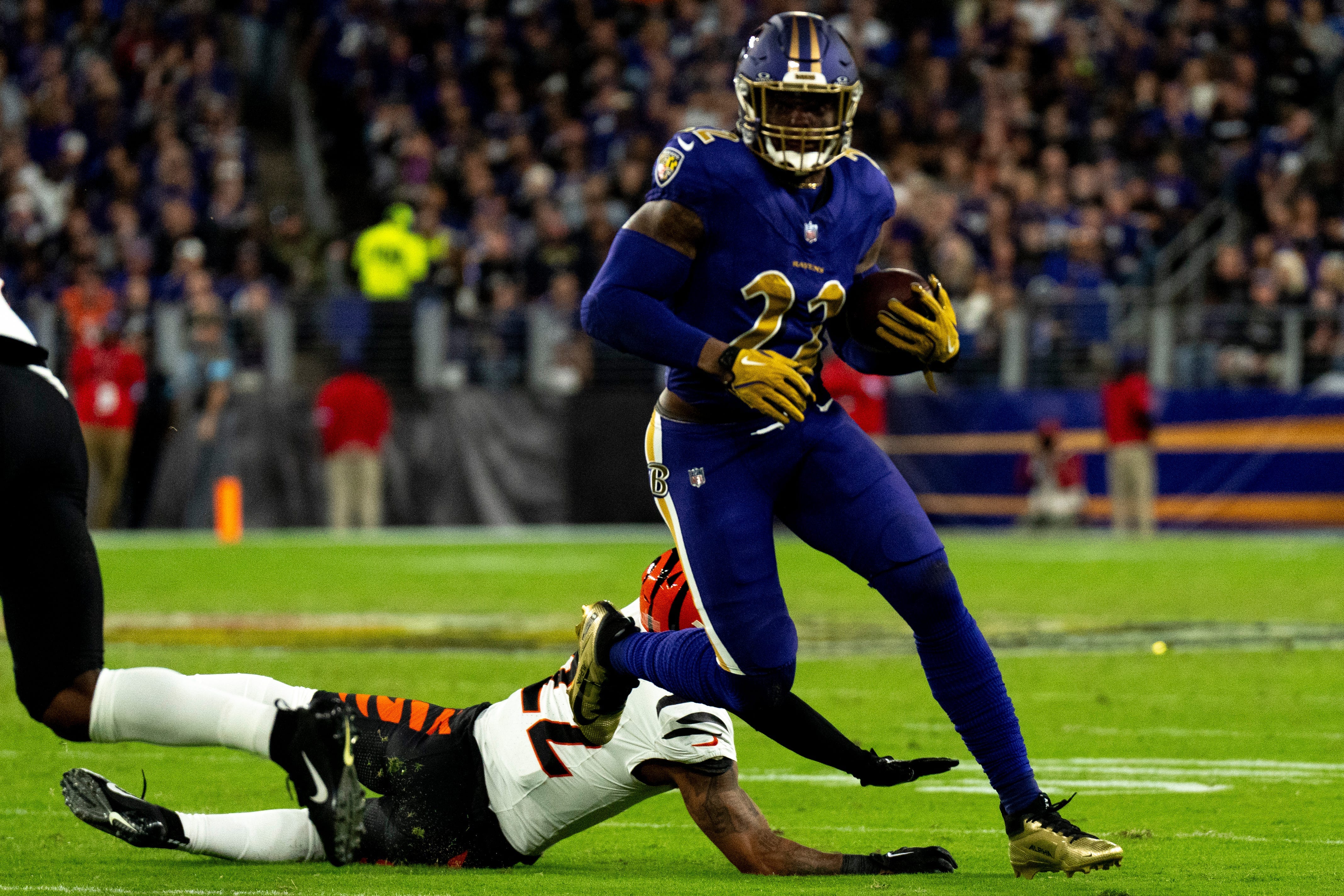 极大提高鲲 极大提高鲲