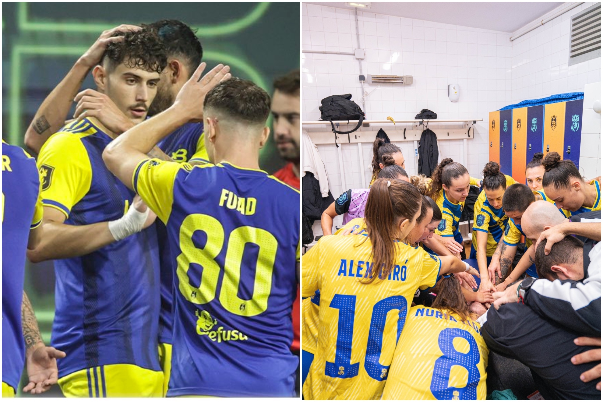 常常会引起 常常会引起