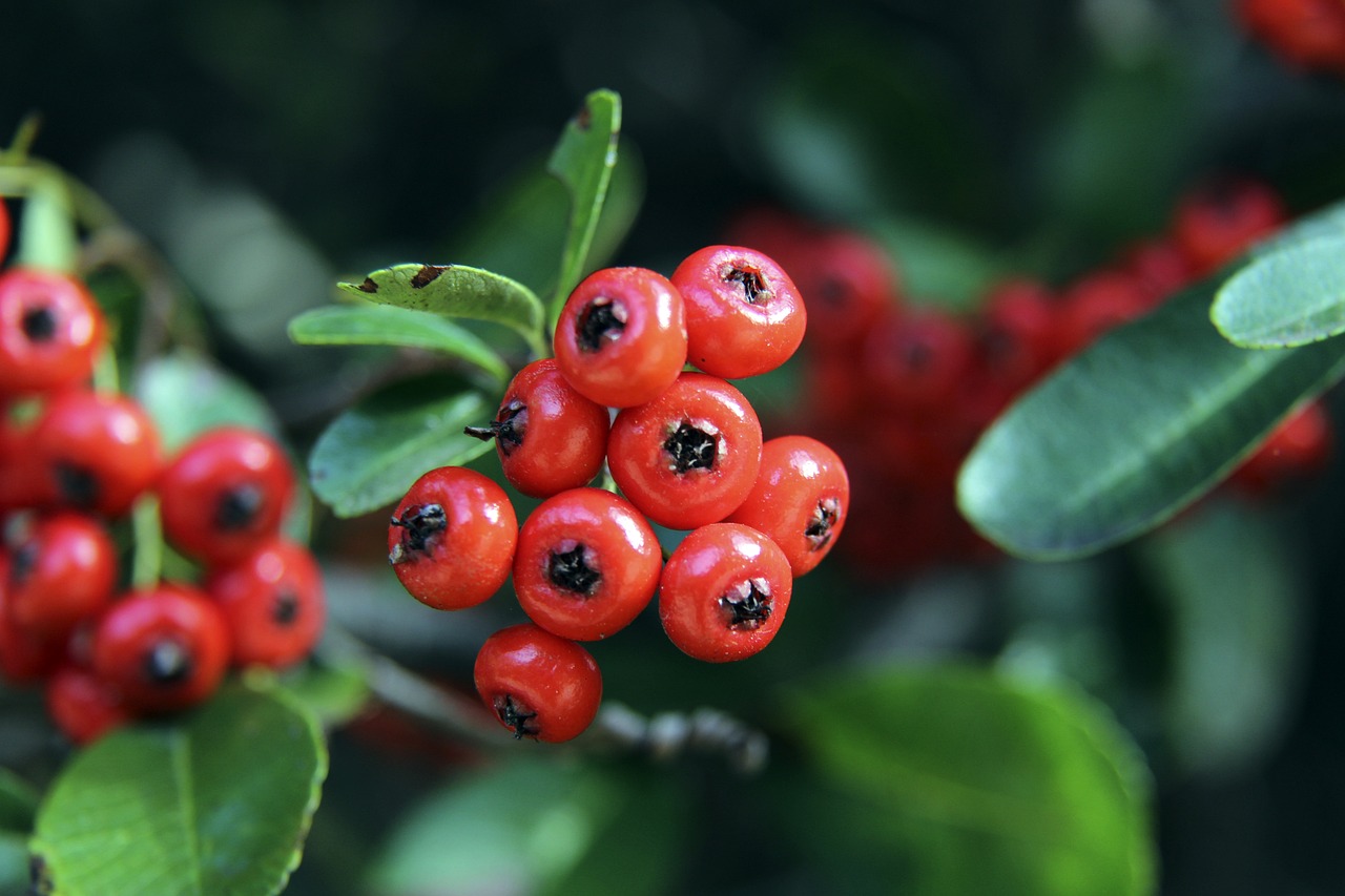 在对方快速 在对方快速